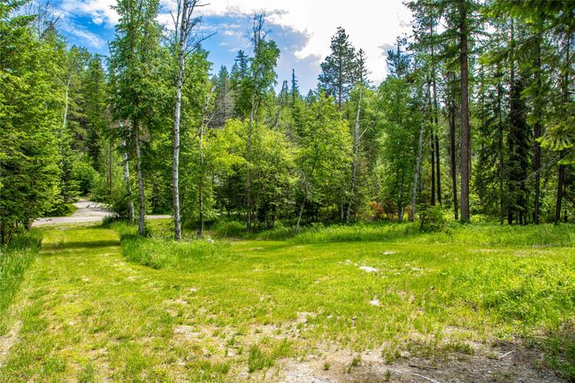 695 Latigo Ln, Home with 0 bedrooms, 0 bathrooms and null parking in Bigfork MT | Image 13