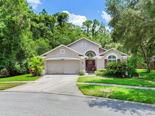 12502 Blazing Star Dr, TAMPA, FL, 33626-3068 | Card Image