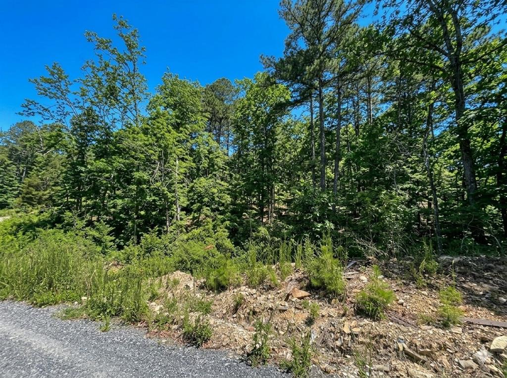 Land in Broken Bow 2