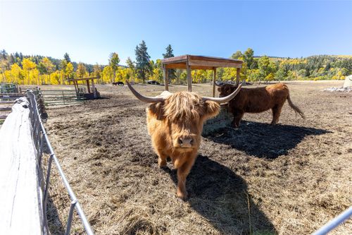 32350 Los Ranchos Rd, Oak Creek, CO, 80467-8660 | Card Image