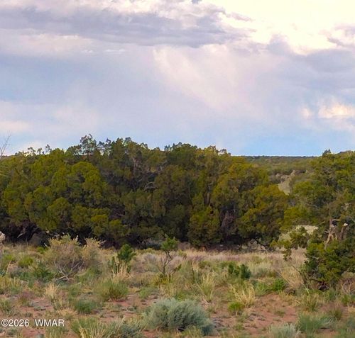 Lots 61-62 Elk Valley Ranch, St Johns, AZ, 85936 | Card Image