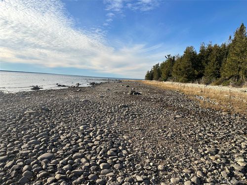 Parcel D Gobles Drive, Bois Blanc Township, MI, 49775 | Card Image