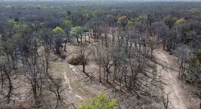 Bird's eye view featuring a view of trees | Image 4