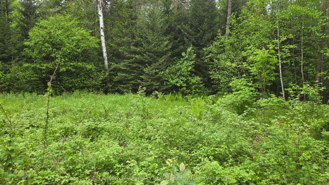 648 O'connor Line, Home with 0 bedrooms, 0 bathrooms and null parking in Powassan ON | Image 8