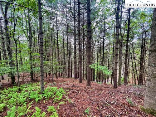 TBD Daniel Pierce Rd, West Jefferson, NC, 28694 | Card Image