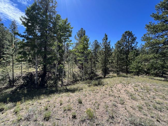 82 Kiowa Cir, Home with 0 bedrooms, 0 bathrooms and null parking in Westcliffe CO | Image 15