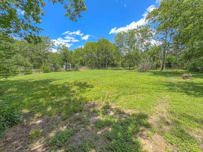 View of yard | Image 34