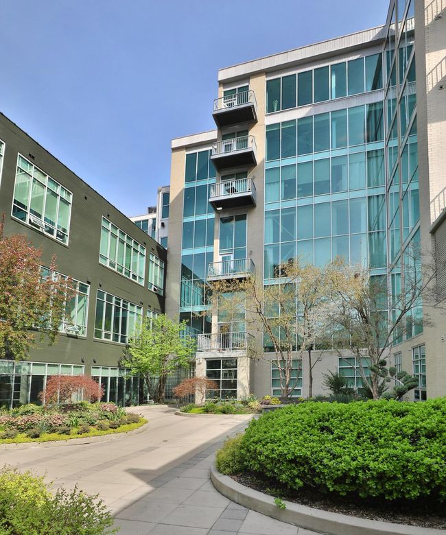 Courtyard | Image 5