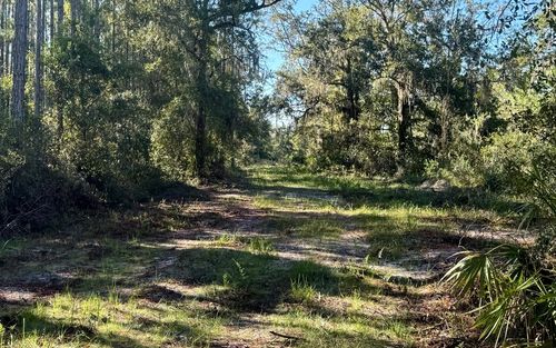 VAC Campbell Rd, Bronson, FL, 32621 | Card Image