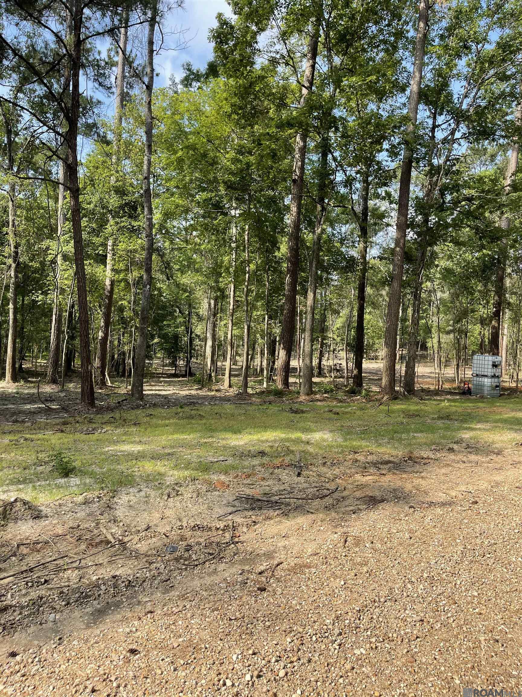 Land in Clinton 2