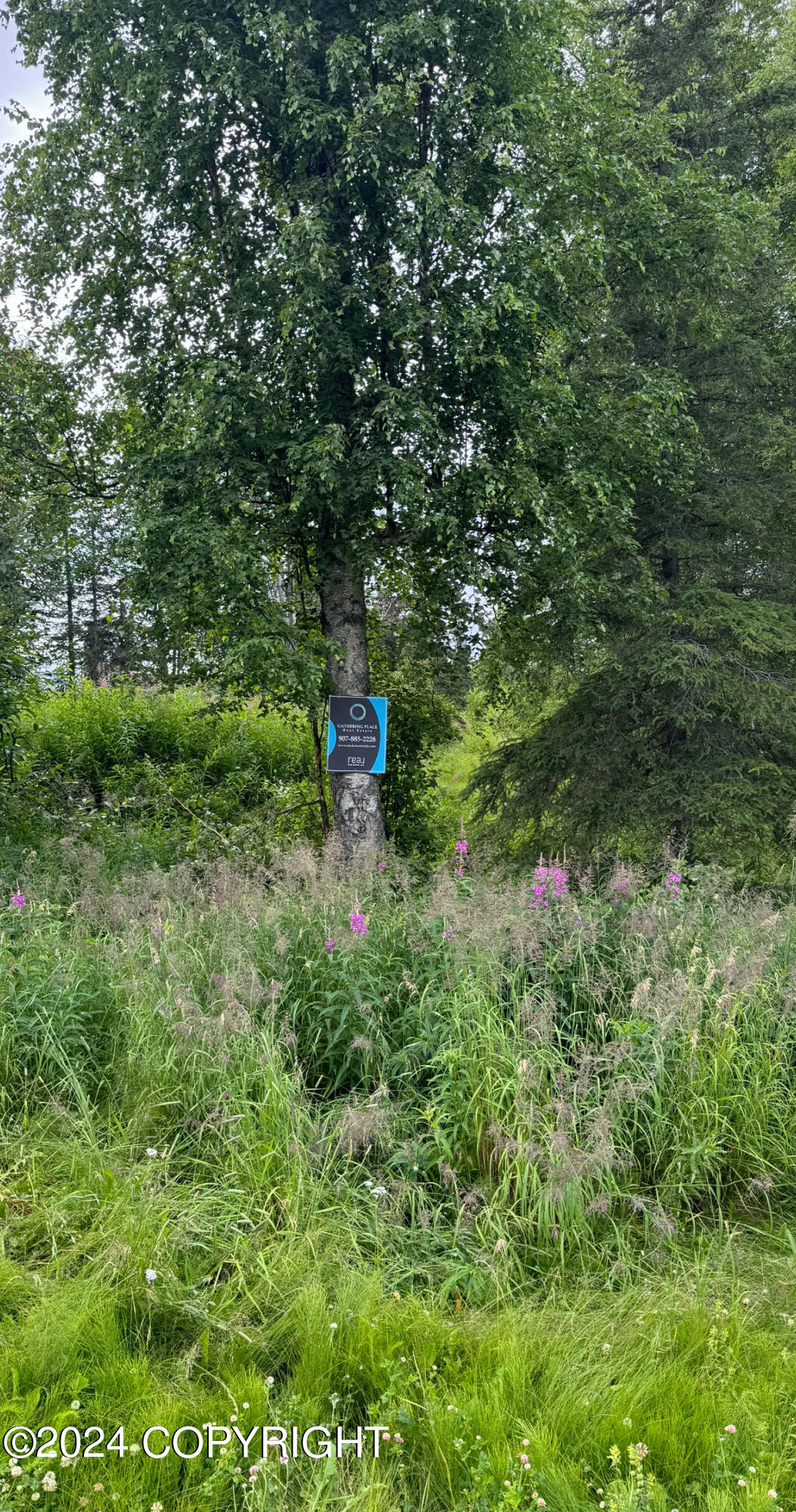 Alix Dr, Wasilla, AK 99623
