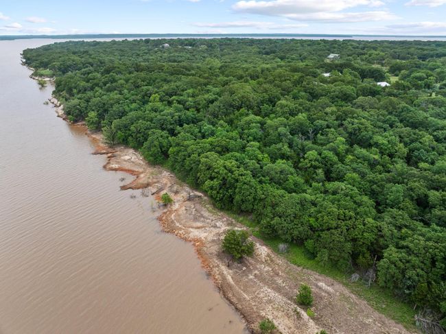 Drone / aerial view of a nearby body of water and a forest | Image 15