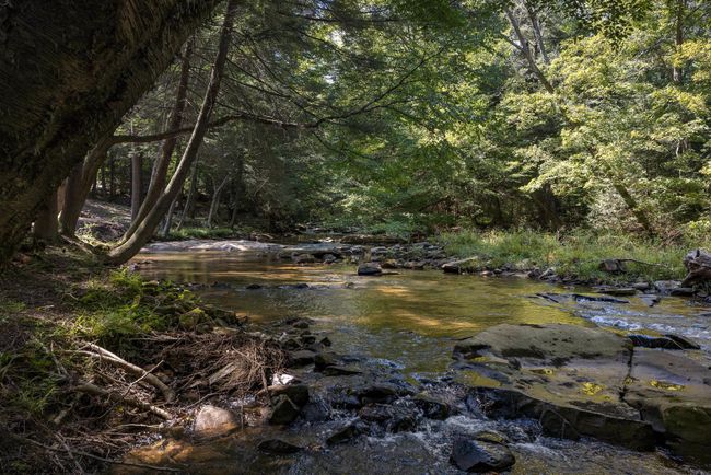 653 Watersound Trce, House other with 3 bedrooms, 3 bathrooms and 3 parking in Bruceton Mills WV | Image 38