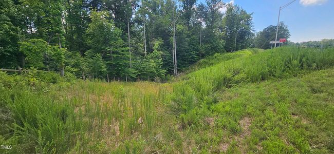 20240613_150536 | Image 4