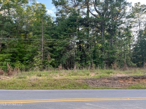 Lot 1 Seventh Day Rd, Florence, MS, 39073 | Card Image