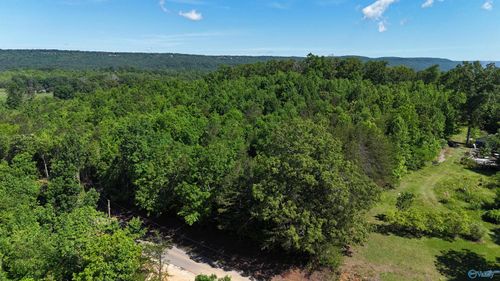 Lot 3 County Road 60, Gaylesville, AL, 35973 | Card Image