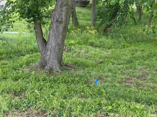 000 W Douglas Dr, Marion, IL, 62959 | Card Image