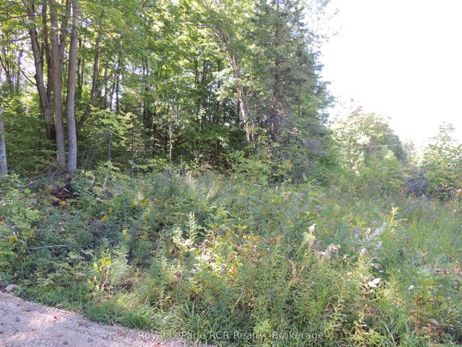 LT 35 Highland Dr, Home with 0 bedrooms, 0 bathrooms and null parking in Markdale ON | Image 11