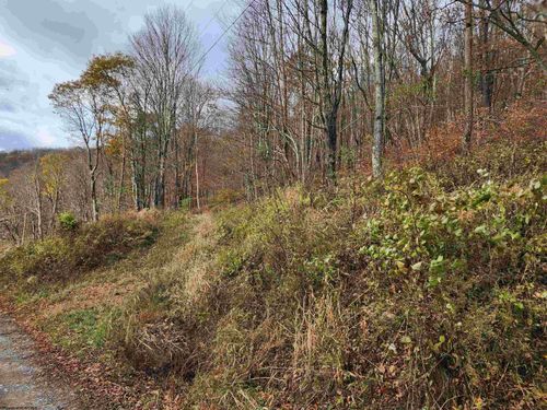 20 Meadows Rd E, Harman, WV, 26270-1103 | Card Image