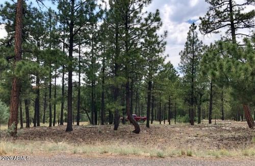 322-2526 Well Water Rd, Happy Jack, AZ, 86024 | Card Image