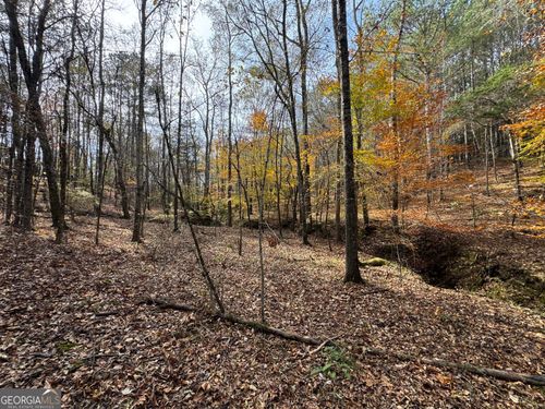 0 Old Middleton Rd, ELBERTON, GA, 30635 | Card Image