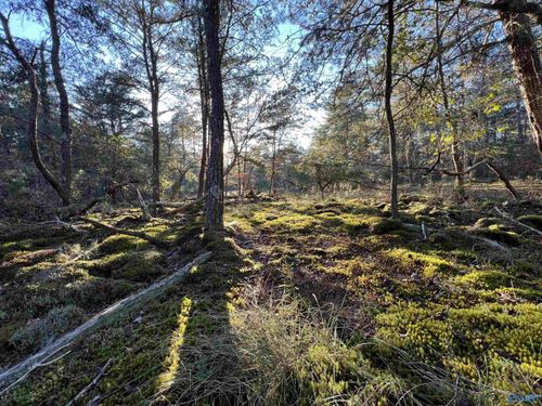 3 AC County Road 52, Cedar Bluff, AL, 35959 | Card Image