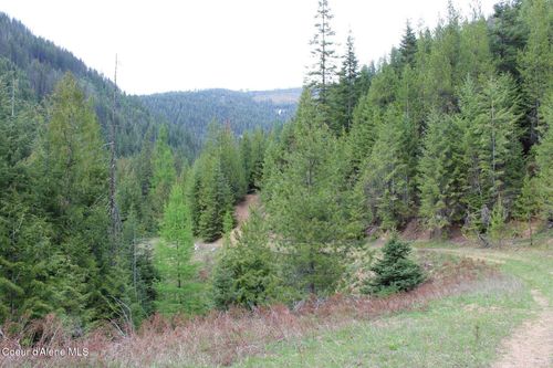 19a Daisy Gulch Rd, Mullan, ID, 83846 | Card Image