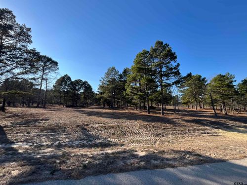 3135 Shadow Pine Dr, LaRue, TX, 75770-1201 | Card Image