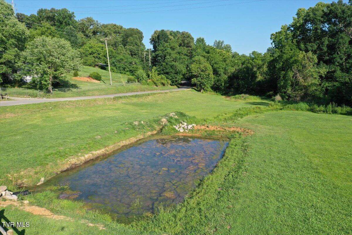 Land in Rogersville