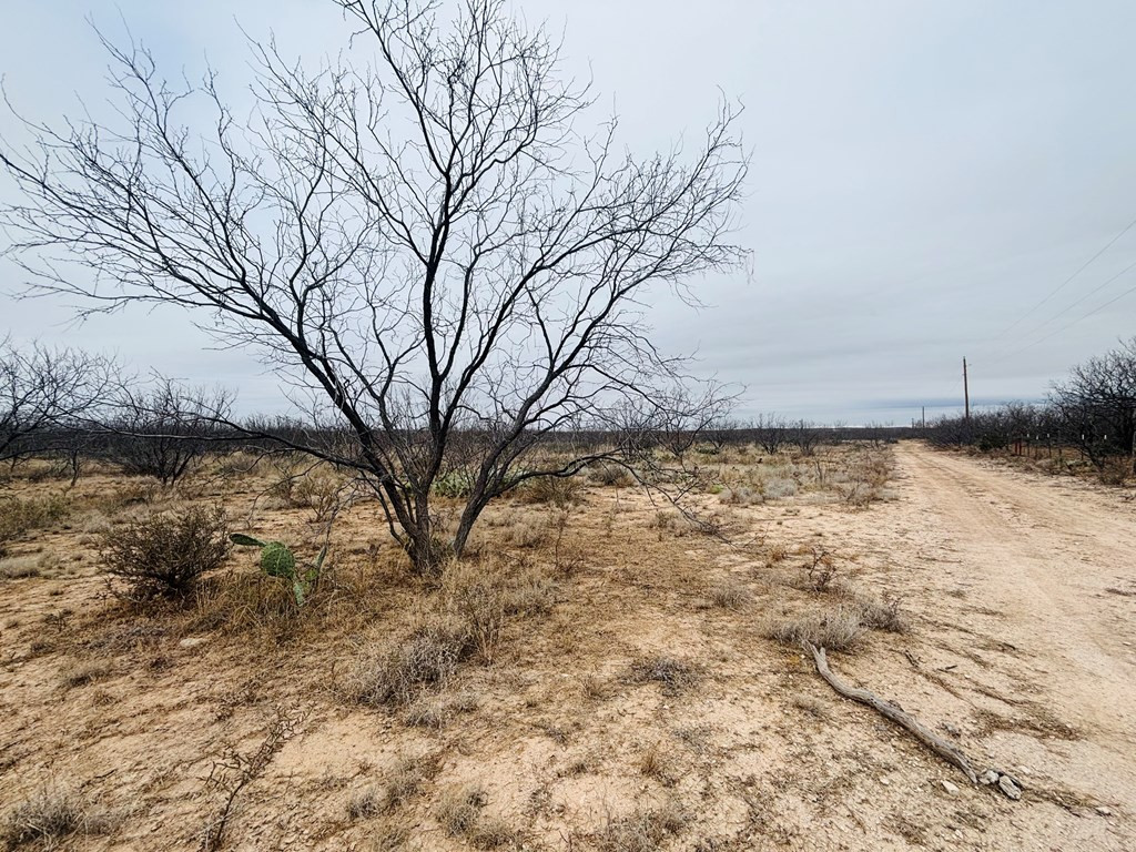 Land in San Angelo 4