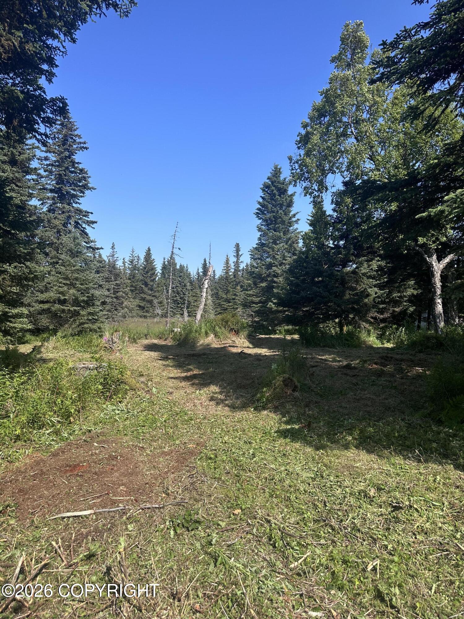 Land in Anchor Point 5