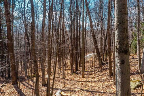 78 Captain Copeland Rd, Dover, VT, 05341 | Card Image