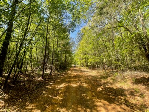 889 Fuller Cemetery E-3 Road, Minden, LA, 71055 | Card Image