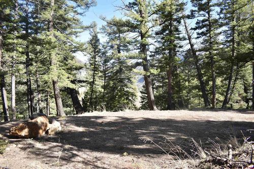 Lots 7-12 Blk 91, Jasper, CO, 81144 | Card Image