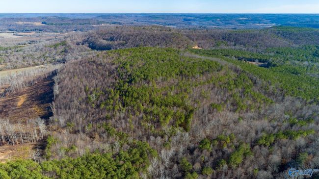 80 acres Rock Creek Rd, Home with 0 bedrooms, 0 bathrooms and null parking in Eva AL | Image 12
