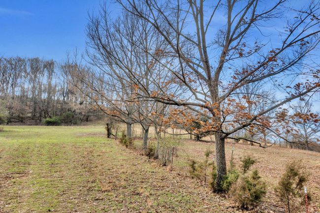 0 Fishing Ford Rd, Home with 0 bedrooms, 0 bathrooms and null parking in Belfast TN | Image 11