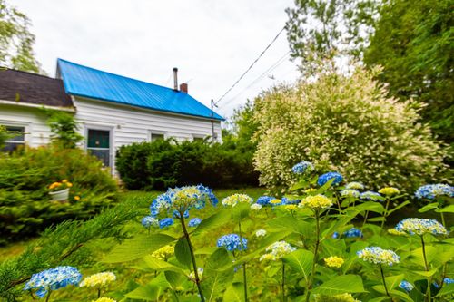 3107 Granville Rd, Karsdale, NS, B0S1A0 | Card Image