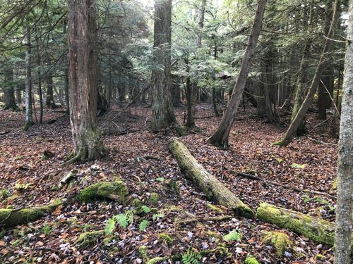 9700 N 1 Rd, Copemish, MI, 49625 | Card Image