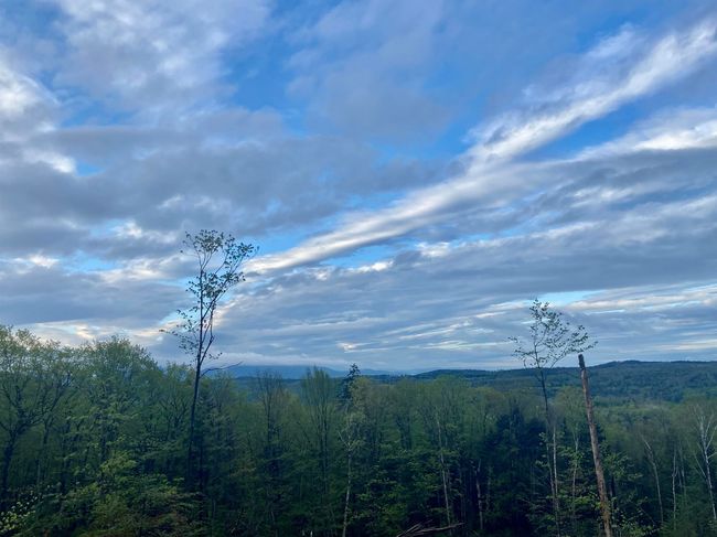1180 Abbott Hill Rd, Home with 0 bedrooms, 0 bathrooms and null parking in West Burke VT | Image 26
