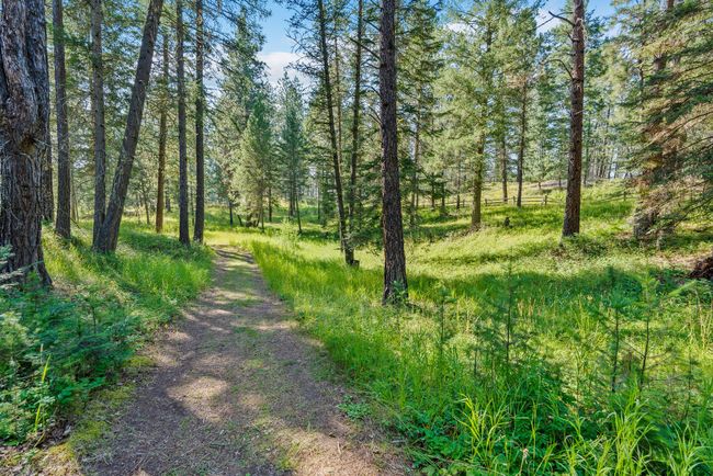Road to guest house featuring a wooded view | Image 53