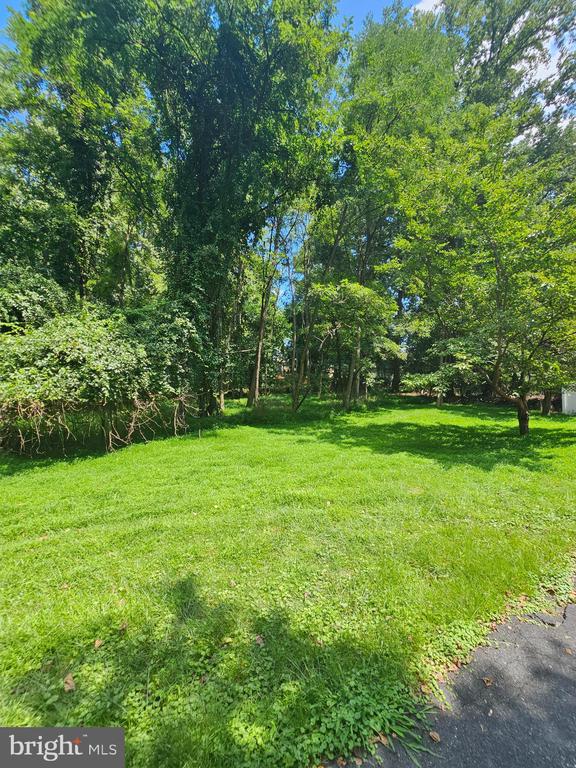 Land in SILVER SPRING