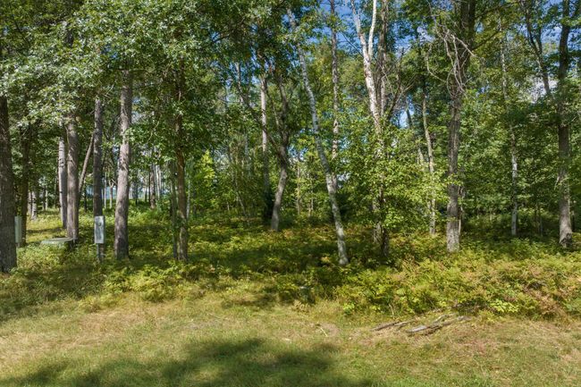 2 Norway Pine Rd, Home with 0 bedrooms, 0 bathrooms and null parking in Brainerd MN | Image 5