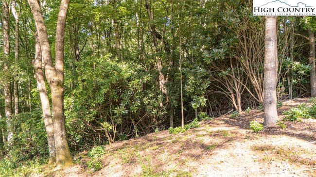 12 - 0 Clear Creek Drive, Home with 0 bedrooms, 0 bathrooms and null parking in Spruce Pine NC | Image 20