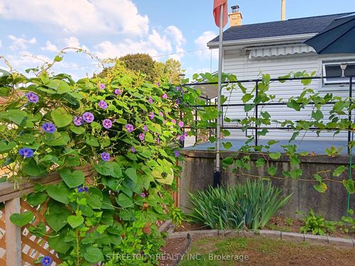 156 Maple St, West Elgin, ON, N0L2C0 | Card Image