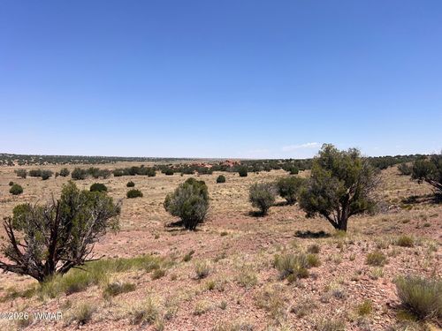 104 N9328, Concho, AZ, 85924 | Card Image