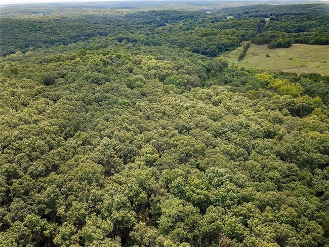 000 Us Highway 65, Home with 0 bedrooms, 0 bathrooms and null parking in Cross Timbers MO | Image 4