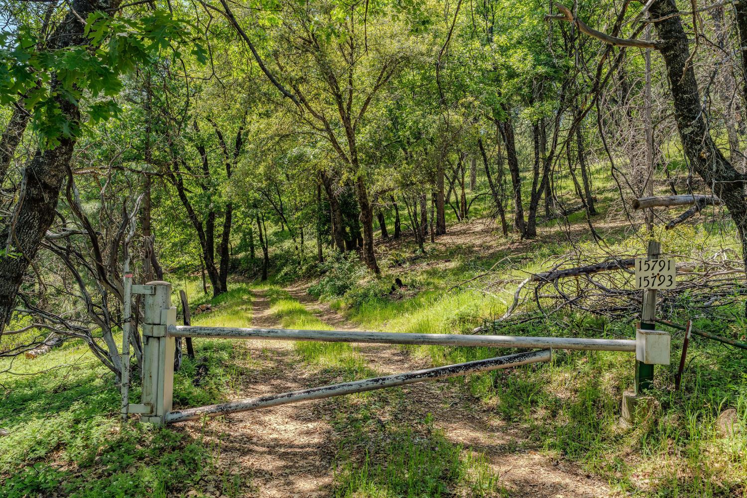 Land in Pioneer