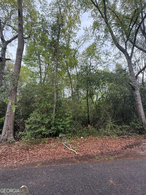 0 Ash Aly, Danville, GA, 31017 | Card Image