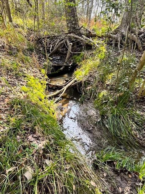 9870 N Leona Blvd, Leona, TX, 75850 | Card Image