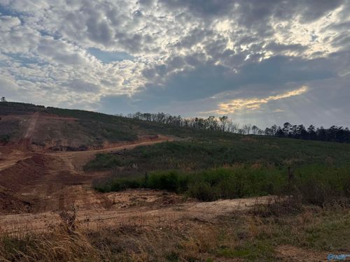 18+\- acres County Road 6, Piedmont, AL, 36272 | Card Image